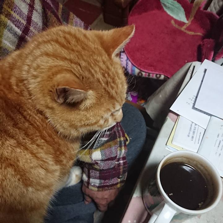 F6fe8b38 009d 41da 9c42 46a2a34125f7 1581109502933