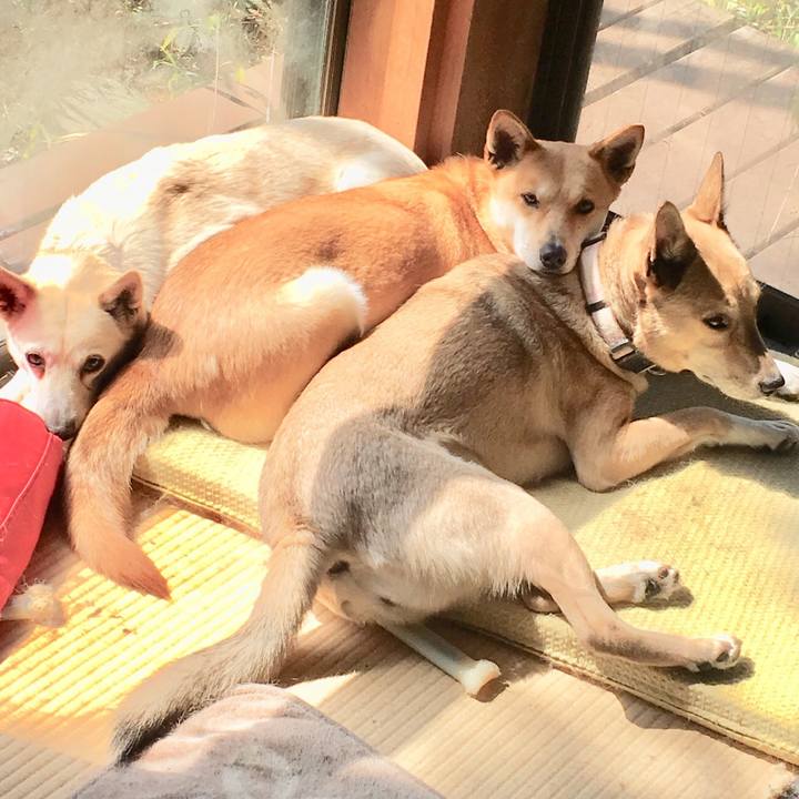 F6fea362 fccb 4c25 9b04 01e02149030b 1552806514728