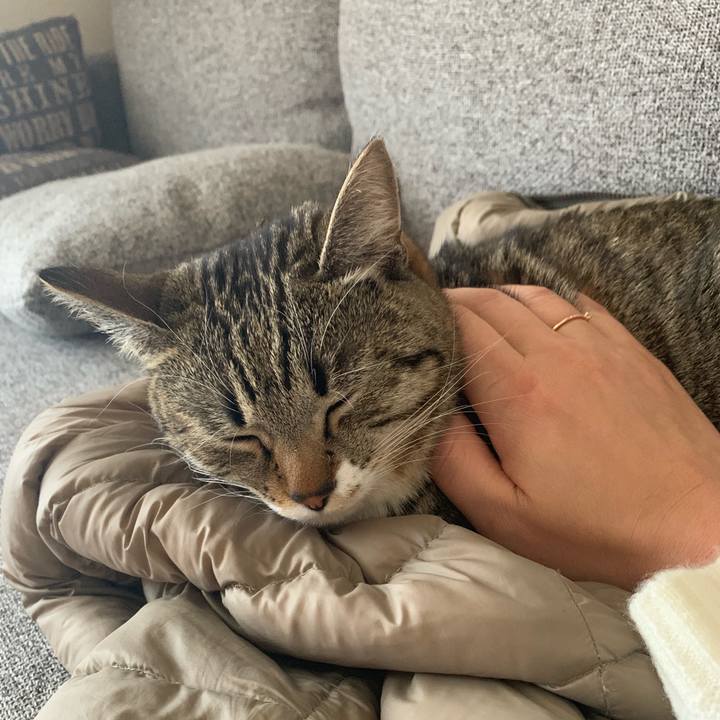 F6fee2fb d29f 4d02 8b9f ea0ad39bb13a 1547084778359