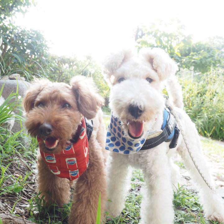 F6ff2831 cb26 403f 8a0a 52e99981c878 1566701319508