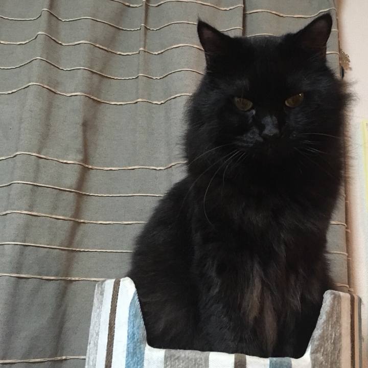 F6ff6ac0 3e18 4216 bb35 ff956a471770 1572036399891