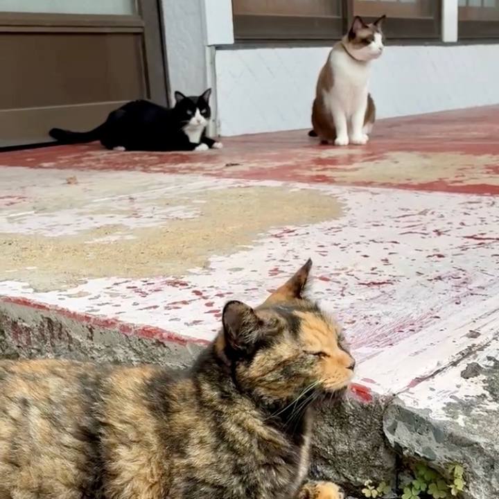 F6ff7d7c 2b99 448d b4b3 443337ebcacf 1756952427649