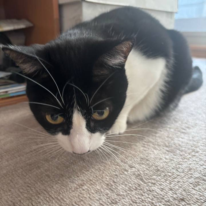 F6ff8441 7a55 4f5f 8bfb 08b93dd6aaf4 1766048849414