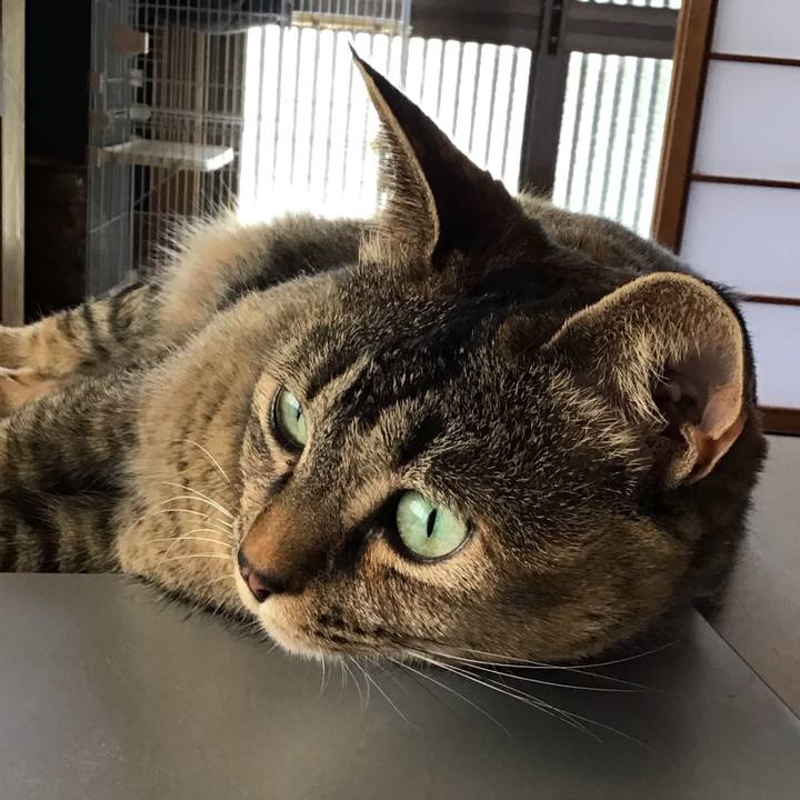 F6ffafa8 fc68 4a87 bd91 79559147924b 1714267359971