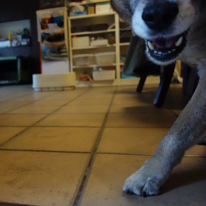 F6ffc89c 8dd0 4ef0 b29d 61f77fd4d0a5 1552696179810