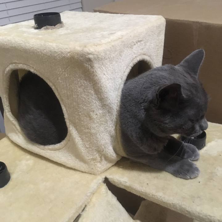 F6ffcbe7 6e78 470e b870 aa190eb2f944 1645457096505