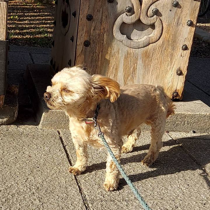 F6ffd884 df7e 4795 a671 b43977e4714d 1646983348232