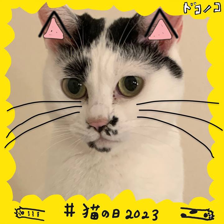 F7000abf 2529 4cb6 8c6d a3325f81a269 1677036919307