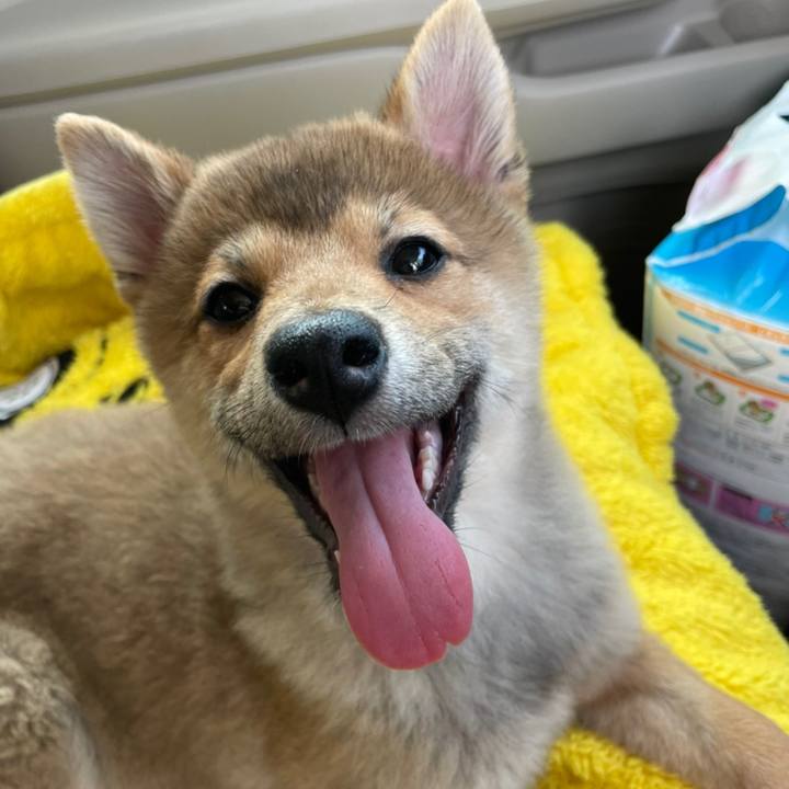 F7001acd a60f 4610 adfe 711fe726d385 1619101254354