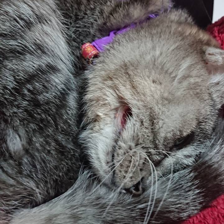 F7001fd9 9c64 42d8 9dc7 c5ce5f9326a5 1581117602030