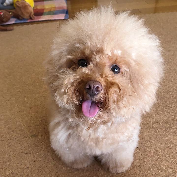 F7002fab 1a8d 4661 9e2f e485d98e43dc 1538541420994