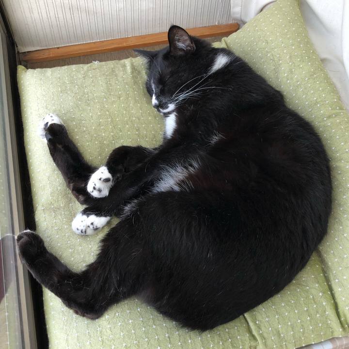 F7007a9a d3ba 4187 b29b da603562969e 1654659259688