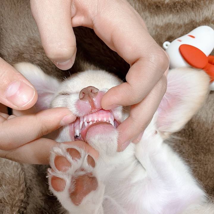 F7008167 3f68 49f0 9bd3 741fe89cdf28 1591007904774