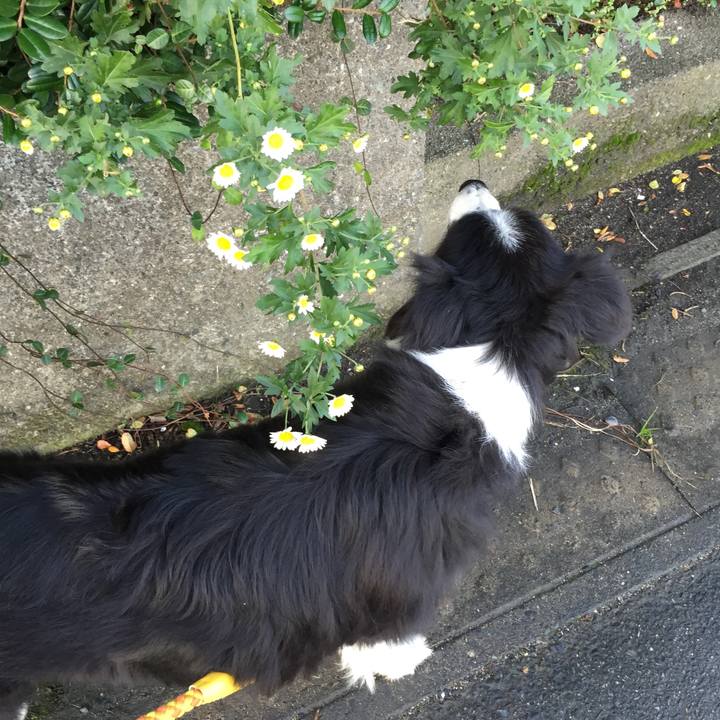 F7009279 95f8 44c1 9771 d98ed68de20a 1542069170981