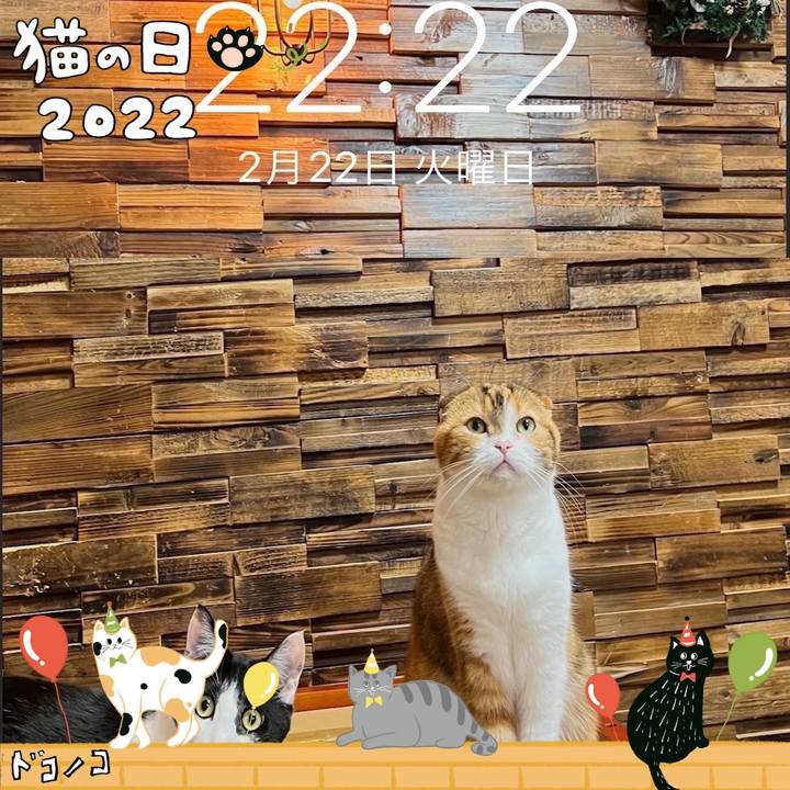 F700953e e604 4ad5 8907 f5e8600d63f3 1645542544030