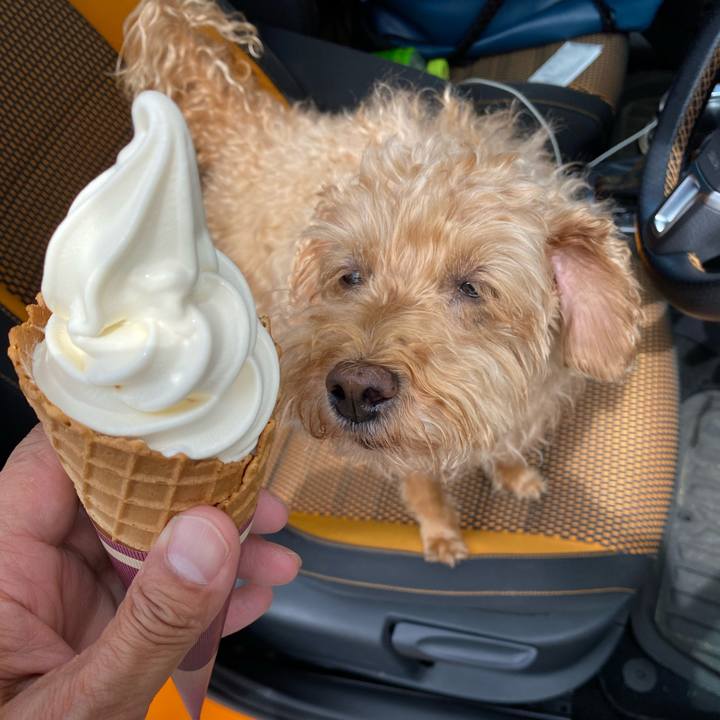 F700d21d db35 47b4 a46c edb1cd50eb47 1689338583128