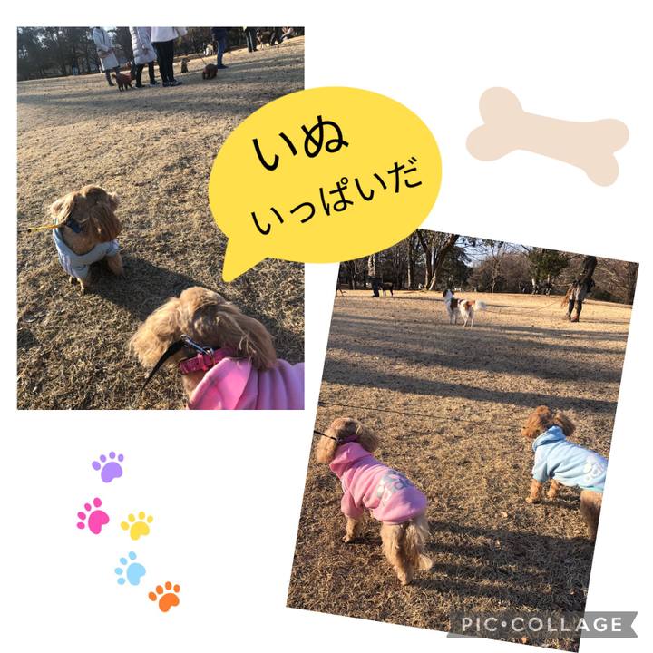 F7010306 427e 4ee0 9234 5c71ff8efb73 1645969829055