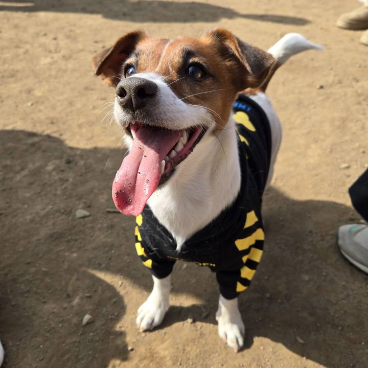 F70123b7 5a72 4d77 86e8 9fce5e968a12 1771043929193