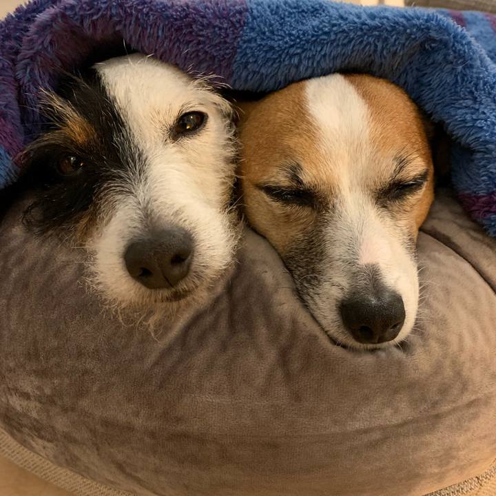 F7012cd6 1cdc 4c76 815d 9f8aaa26e706 1583237314958