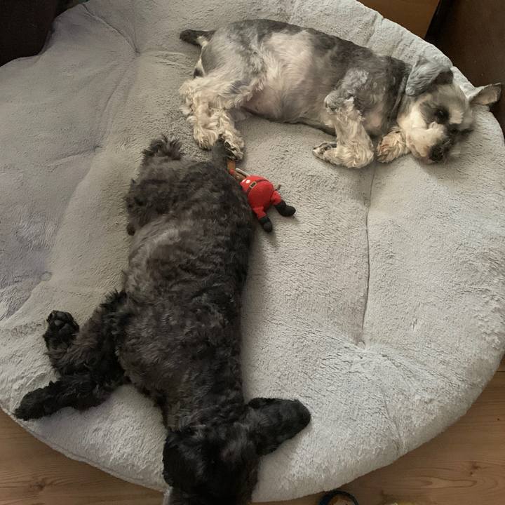 F7012d6b ec51 472f ada7 1f1e6a02e15b 1682911863212