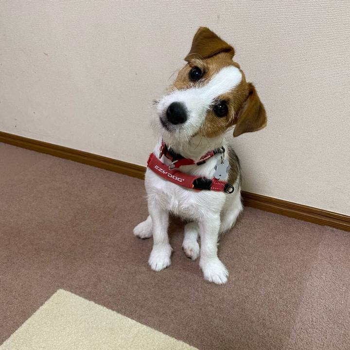 F70140ae f293 4338 9d13 2b18bf615c96 1619098321720