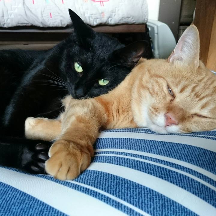 F7014707 7fb4 4018 b71c 16e087bd8d6e 1528360508978