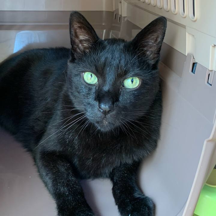 F70153ff b3cf 45dc 91e3 4c3b1f6de610 1593825640286