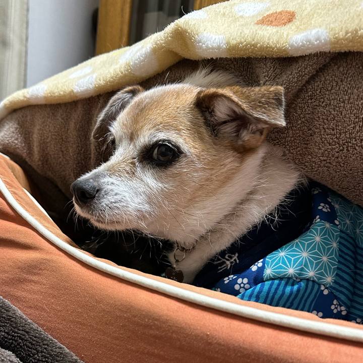 F7016687 d9c4 40f3 aa6b 0574f2fbf80b 1671099609321