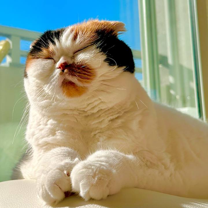 F7017105 9ff0 4d16 8f36 e64cbab62148 1697327724154