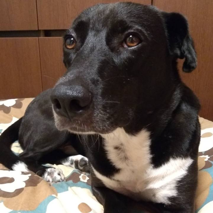 F701726c 6410 4060 8094 d6efb8697348 1599904670143