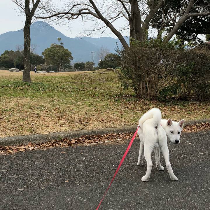 F70198ae 745a 4d1a b60b 6040750170fb 1516012013588