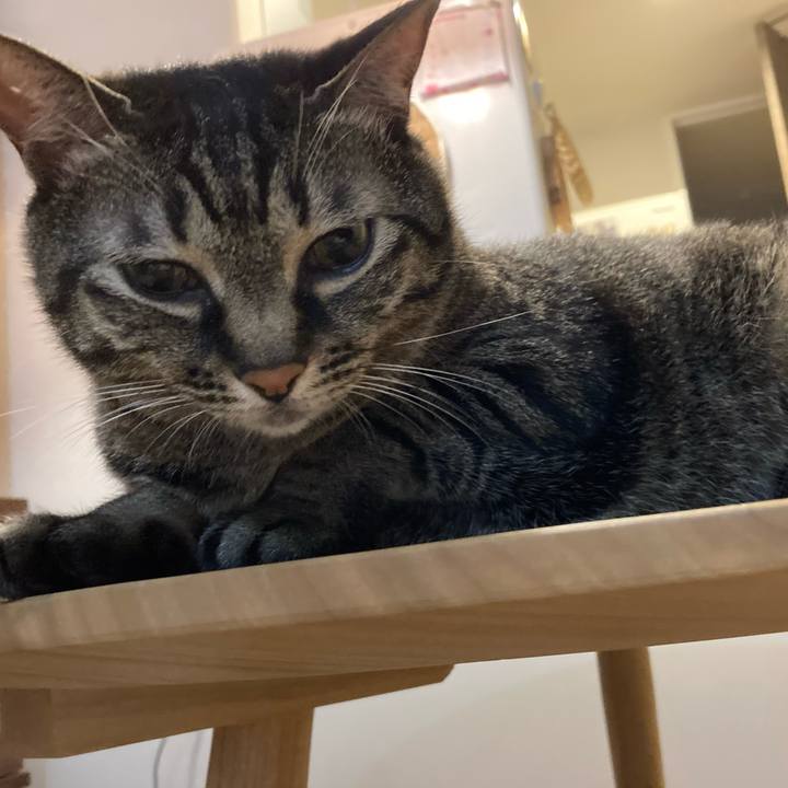 F701aaf4 e37c 413e a645 c189b802b7df 1595237534793