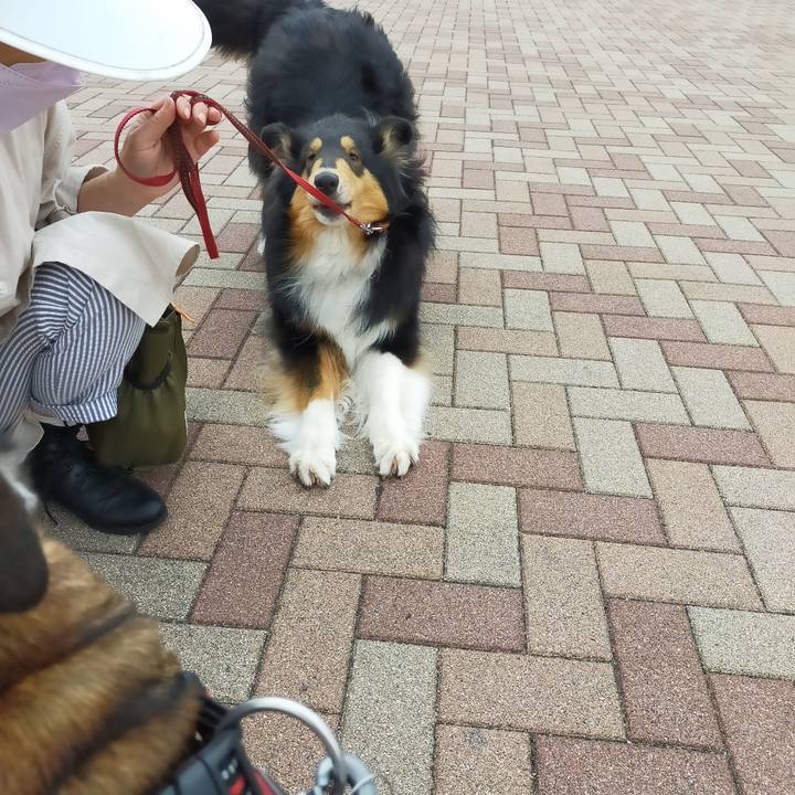 F701be64 5978 4c3f 959e c7a4f266c488 1653574889736