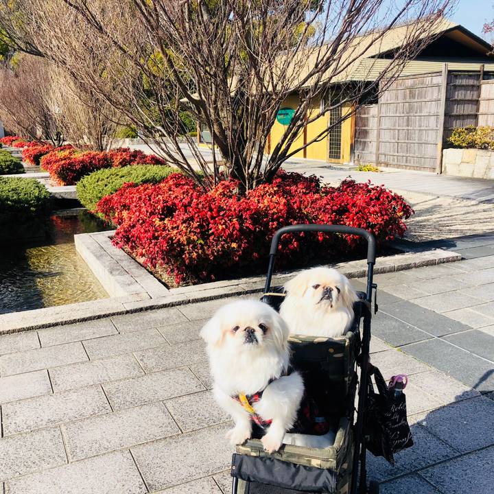 F701cf04 c9de 4361 8c0b f27a01d37d07 1611398253538