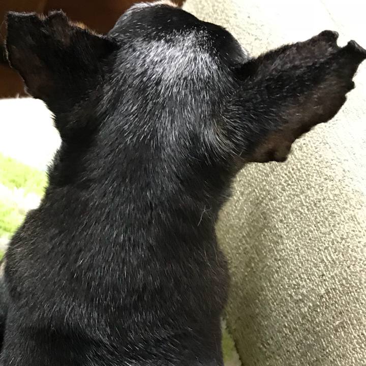 F701d56d e404 4687 ba2e 6e4a73c15a51 1564653922566