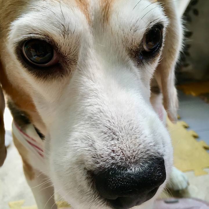 F701deb2 be7c 4c5c 9fec 3136ce4d21b4 1557202759598