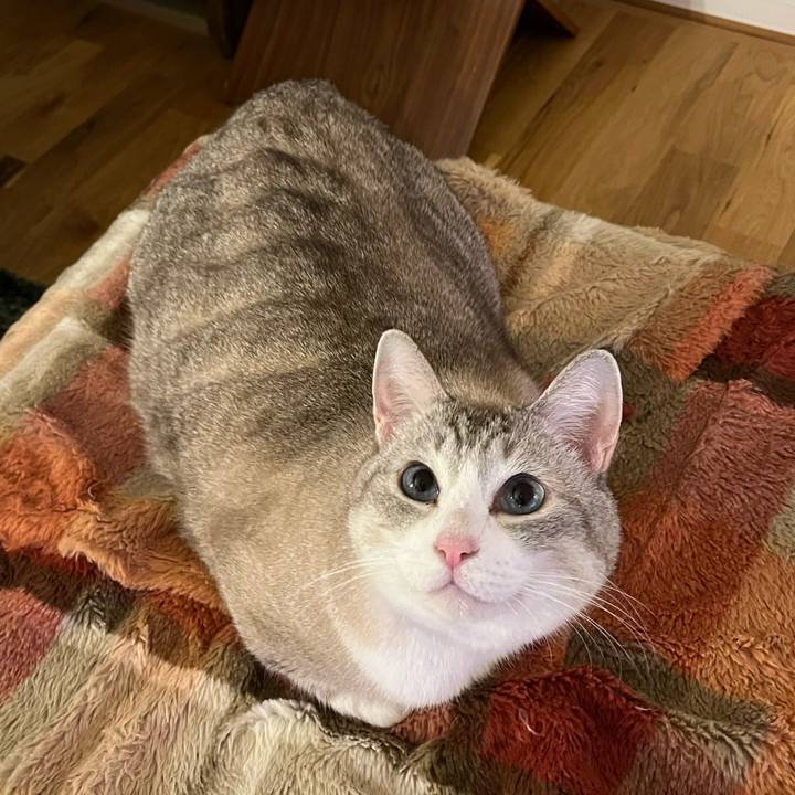 F7023a8f 83c5 4858 9dac 0ac639bca775 1700538934274