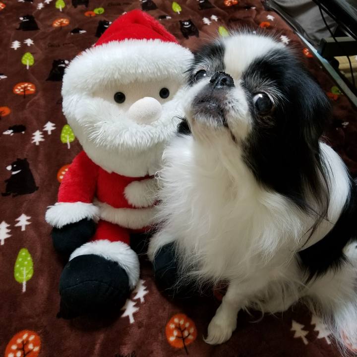 F7024b70 805a 44a7 8725 5e143c375403 1514201555145