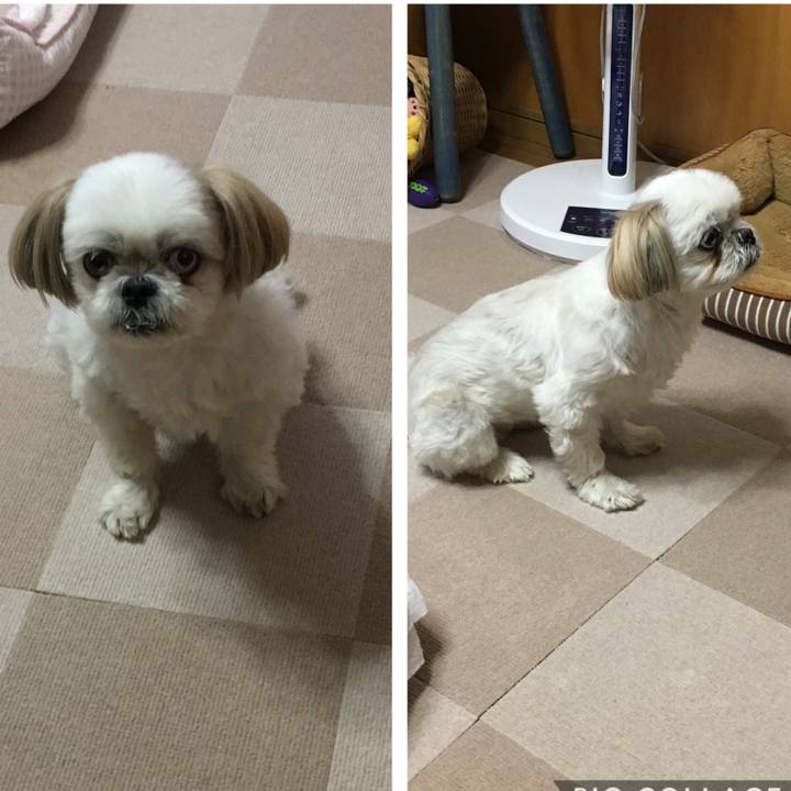 F702c9d4 83d5 41b9 9a47 7f6eb91c8a04 1561289626624