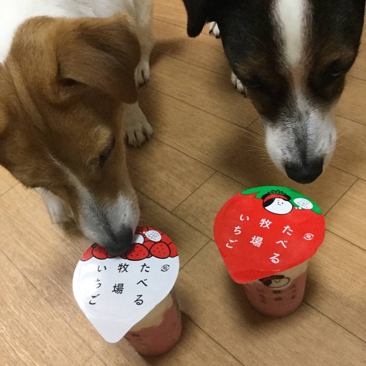 F702ce97 e156 48eb 802e 44b2ed53b458 1552213135403