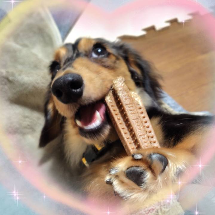 F7037a55 1008 4267 a592 aeca65d96da9 1724838893496