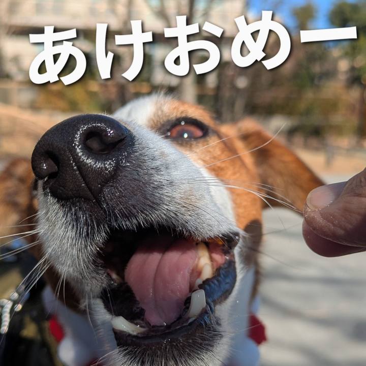 F7039a8c fa90 4969 aa8e 61b3c4eb9eeb 1735695936425