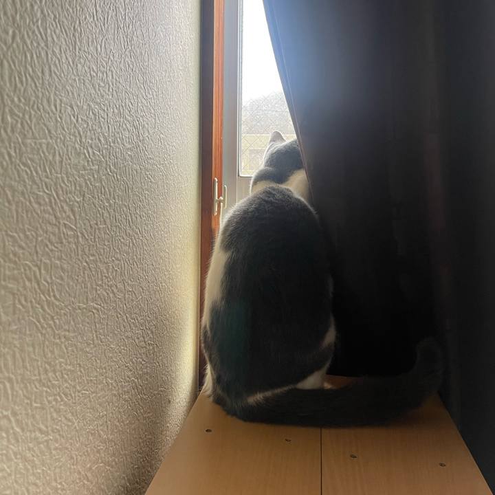 F703a27e f96d 43c4 b1e9 b0ebdfec8f73 1676777498998