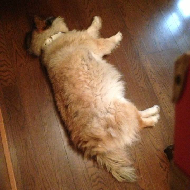 F703a9c6 8723 4ed5 9041 1f4519399eae 1566346965147