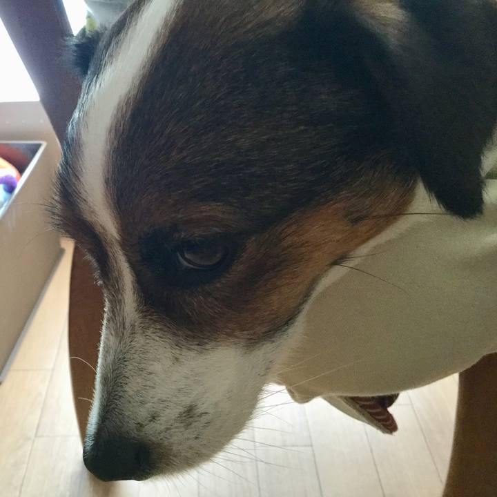 F703beac 1467 40f1 b891 4e9d1fb76464 1527406192539