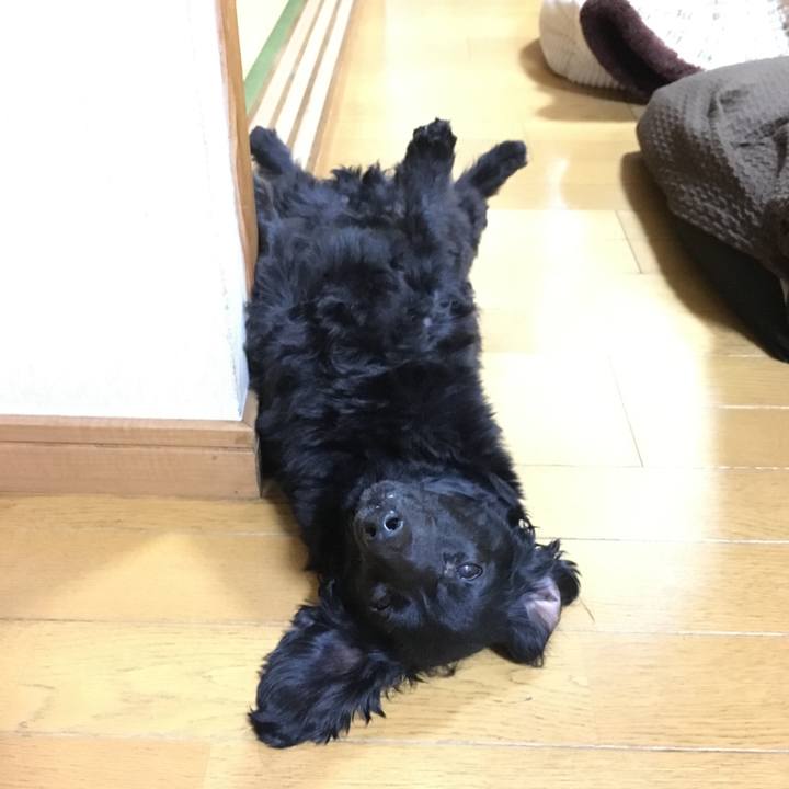 F703dc10 d789 4071 8716 30bfa95053ec 1641248422032