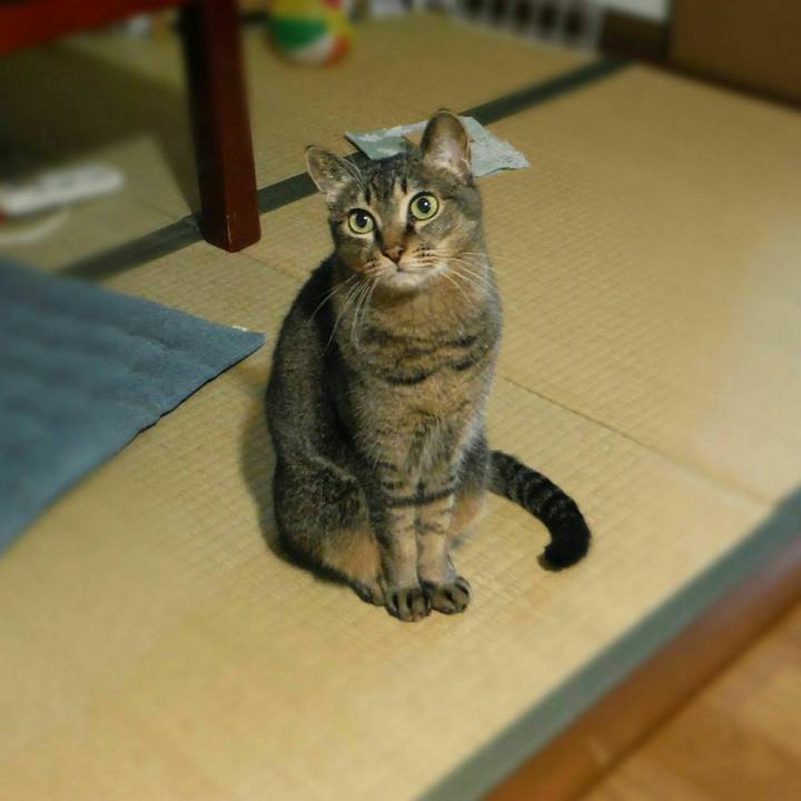 F703dcef 0425 40aa 9db9 00ef13274c53 1538528761807