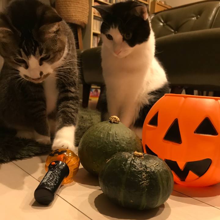 F703f101 92eb 4254 a43c 4358ab10dcdf 1509368242428