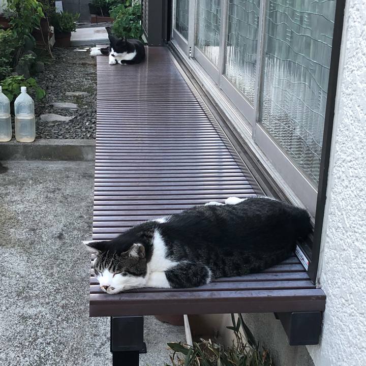 F703f7cd 4feb 4df1 98bd 2ab49a404a35 1534851597701