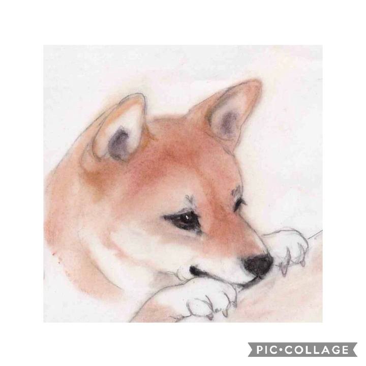 F7040e23 cb1a 491a 8631 4e509ff0b895 1662088998363